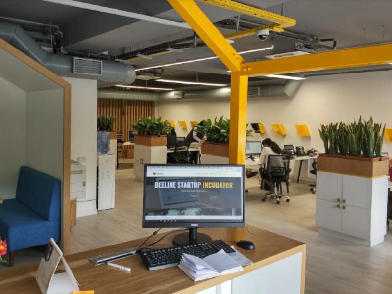 Beeline Startup Incubator