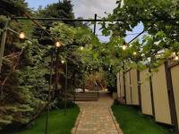 Backyard - photo 2 of 6