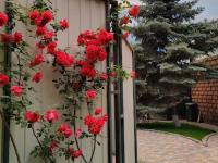 Backyard - photo 5 of 6
